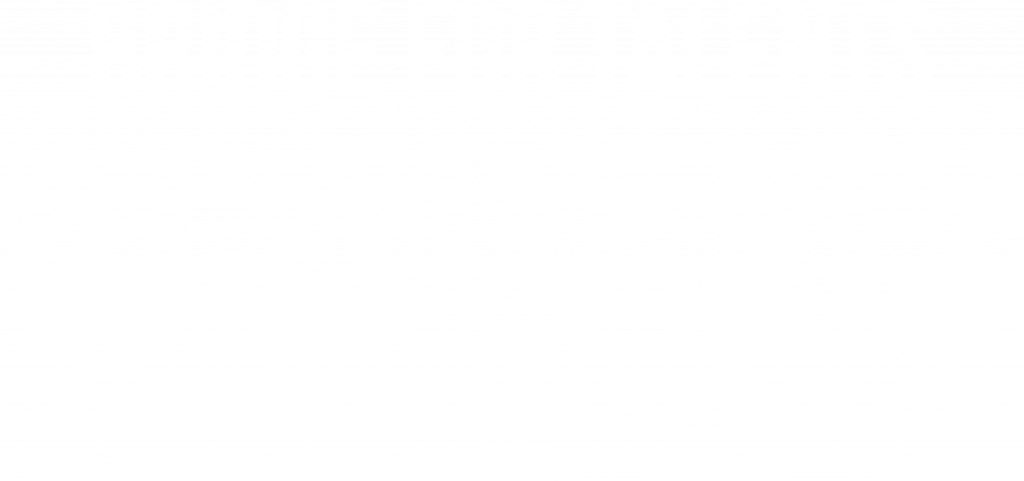 BRIDGE FOR TALENTS ACADEMY